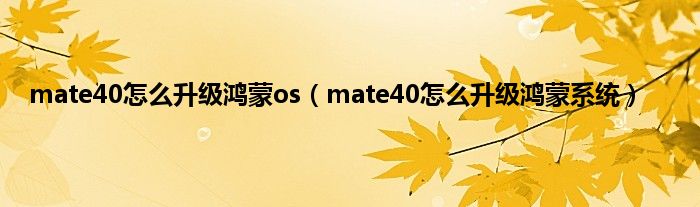 mate40怎么升级鸿蒙os(mate40怎么升级鸿蒙系统)