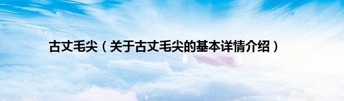 古丈毛尖（关于古丈毛尖的基本详情介绍）
