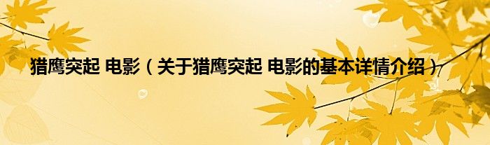 猎鹰突起 电影（关于猎鹰突起 电影的基本详情介绍）