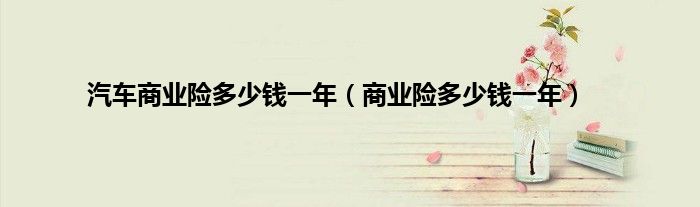 汽车商业险多少钱一年（商业险多少钱一年）