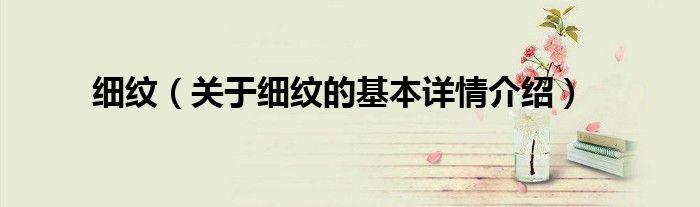 细纹（关于细纹的基本详情介绍）