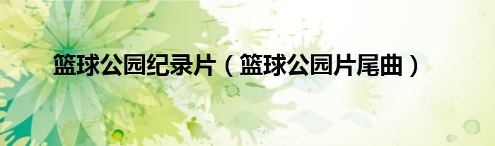 篮球公园纪录片（篮球公园片尾曲）
