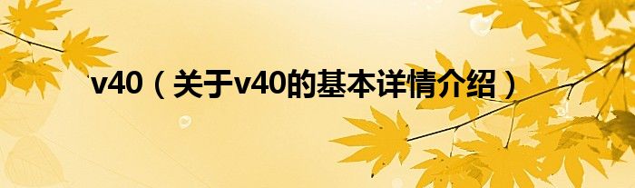 v40（关于v40的基本详情介绍）