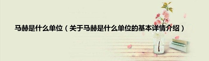 马赫是什么单位（关于马赫是什么单位的基本详情介绍）