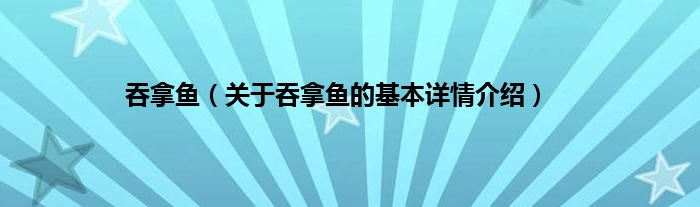吞拿鱼（关于吞拿鱼的基本详情介绍）