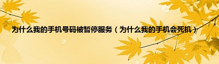 为什么我的手机号码被暂停服务（为什么我的手机会死机）