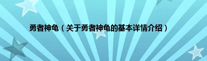 勇者神龟（关于勇者神龟的基本详情介绍）