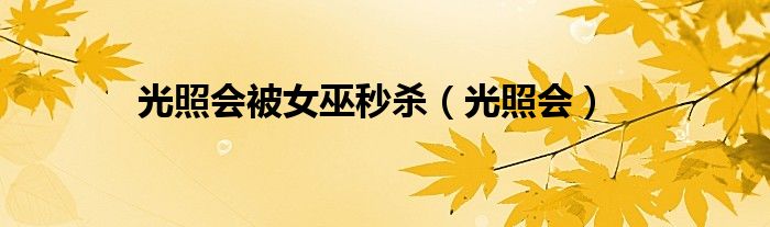 光照会被女巫秒杀(光照会)