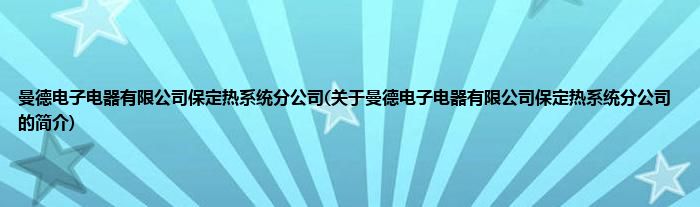 曼德电子电器有限公司保定热系统分公司(关于曼德电子电器有限公司保定热系统分公司的简介)