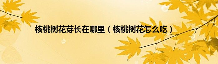 核桃树花芽长在哪里（核桃树花怎么吃）