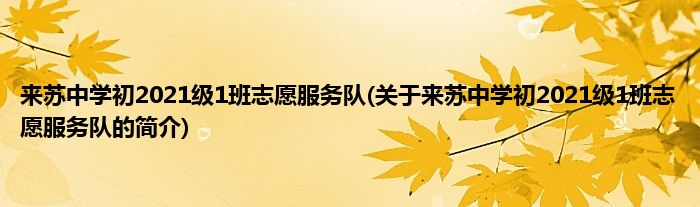 来苏中学初2021级1班志愿服务队(关于来苏中学初2021级1班志愿服务队的简介)