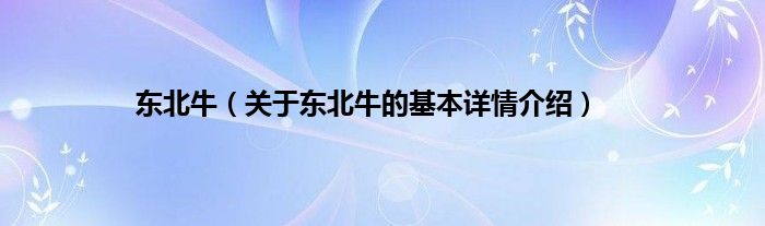 东北牛（关于东北牛的基本详情介绍）