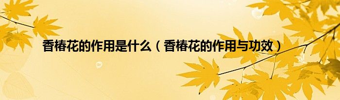 香椿花的作用是什么（香椿花的作用与功效）