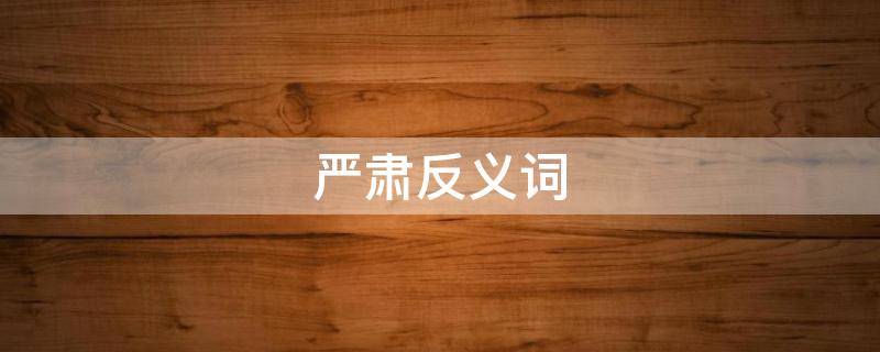 严肃反义词