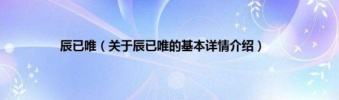 辰已唯（关于辰已唯的基本详情介绍）