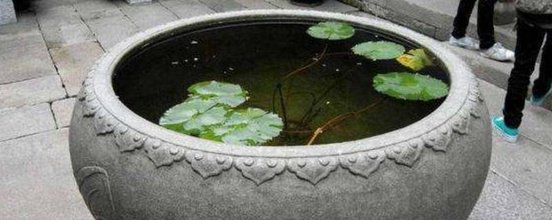 大水缸是什么意思