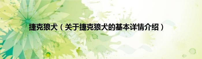 捷克狼犬（关于捷克狼犬的基本详情介绍）