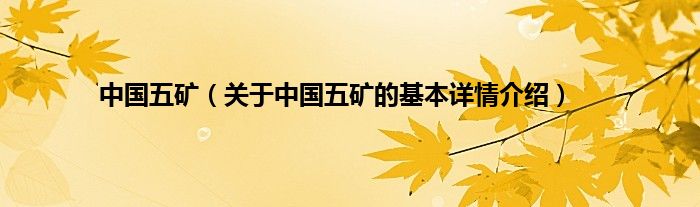 中国五矿（关于中国五矿的基本详情介绍）