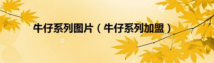 牛仔系列图片（牛仔系列加盟）