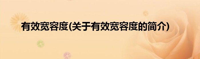 有效宽容度(关于有效宽容度的简介)
