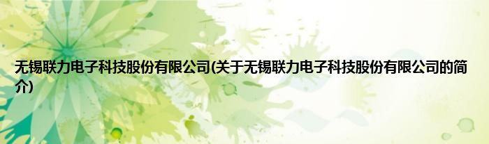 无锡联力电子科技股份有限公司(关于无锡联力电子科技股份有限公司的简介)