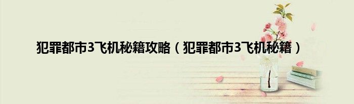 犯罪都市3飞机秘籍攻略（犯罪都市3飞机秘籍）